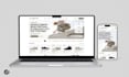 a professional shopify store