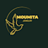 design a modern luxury logo in canva