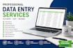 do accurate data entry, excel data entry, copy paste and web research