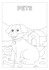design kids workbook, worksheet and activity book