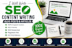 write SEO friendly blog posts and articles