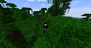 play minecraft java edition with you