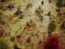 do fantasy map illustration