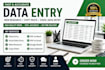 do accurate data entry, copy paste, web research, and excel data