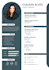 design a professional resume