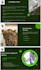 design professional power point presentations