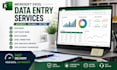 do excel data entry