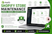 monthly shopify store sub stack maintenance updates backups and security checks
