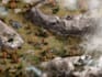 draw your map illustration vector art map fantasy map