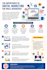 write SEO blog posts, articles, and website content