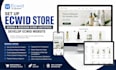 setup ecwid store design and redesign ecwid lightspeed develop ecwid website