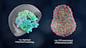 create 3d medical animation moa pharmaceutical biotech molecular explainer video