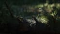 realistic 3d game environment terrain level design 3d game map in unity and ue5