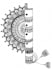 draw a beautiful custom hand drawn mandala art