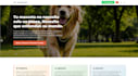 develop a fast HTML CSS and javascript landing page or website