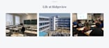 build a responsive website and analyze data