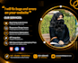 create responsive HTML CSS websites