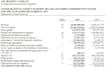 group consolidated financial statement, trial balance, other