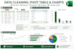 clean, format and organize microsoft excel data