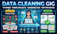 do excel data entry and data cleaning