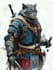 fantasy dnd character illustration