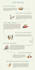 optimise your website with on page SEO