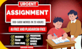 do your assignment, project work, essay writing for college and university