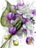 draw a botanical illustration