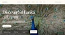 develop a responsive ai website