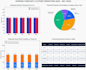 create a financial analysis report and custom excel budget planner