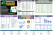 do microsoft excel data cleaning, formatting, formulas chart