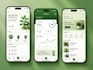 develop a professional flutter mobile app