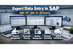 do something I am really good at data entry in sap