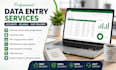 do accurate data entry, copy paste, and excel tasks