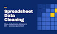 clean and standardize your excel or csv data in 24 hours
