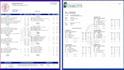 design schools transcript, certificate and college transcript design
