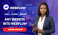 clone,copy and design webflow