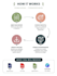 design a professional canva infographic