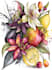 do a botanical illustration