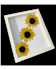 remove background from your images