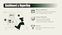 do professional data analysis and visualization report with python and ai