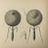 create scientific illustrations, diagrams