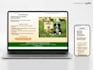 design a mobile friendly wordpress website