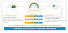 be your sap basis consultant
