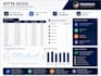 professional excel dashboard and business report