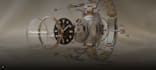 design and develop a luxury watch website or landing page