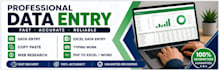 do professional data entry, excel work, copy paste and typing tasks