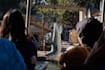 take candid, authentic theme park photos