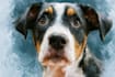 paint a custom watercolor pet portrait by hand