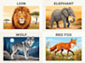 do vector design of characters, animals and people
